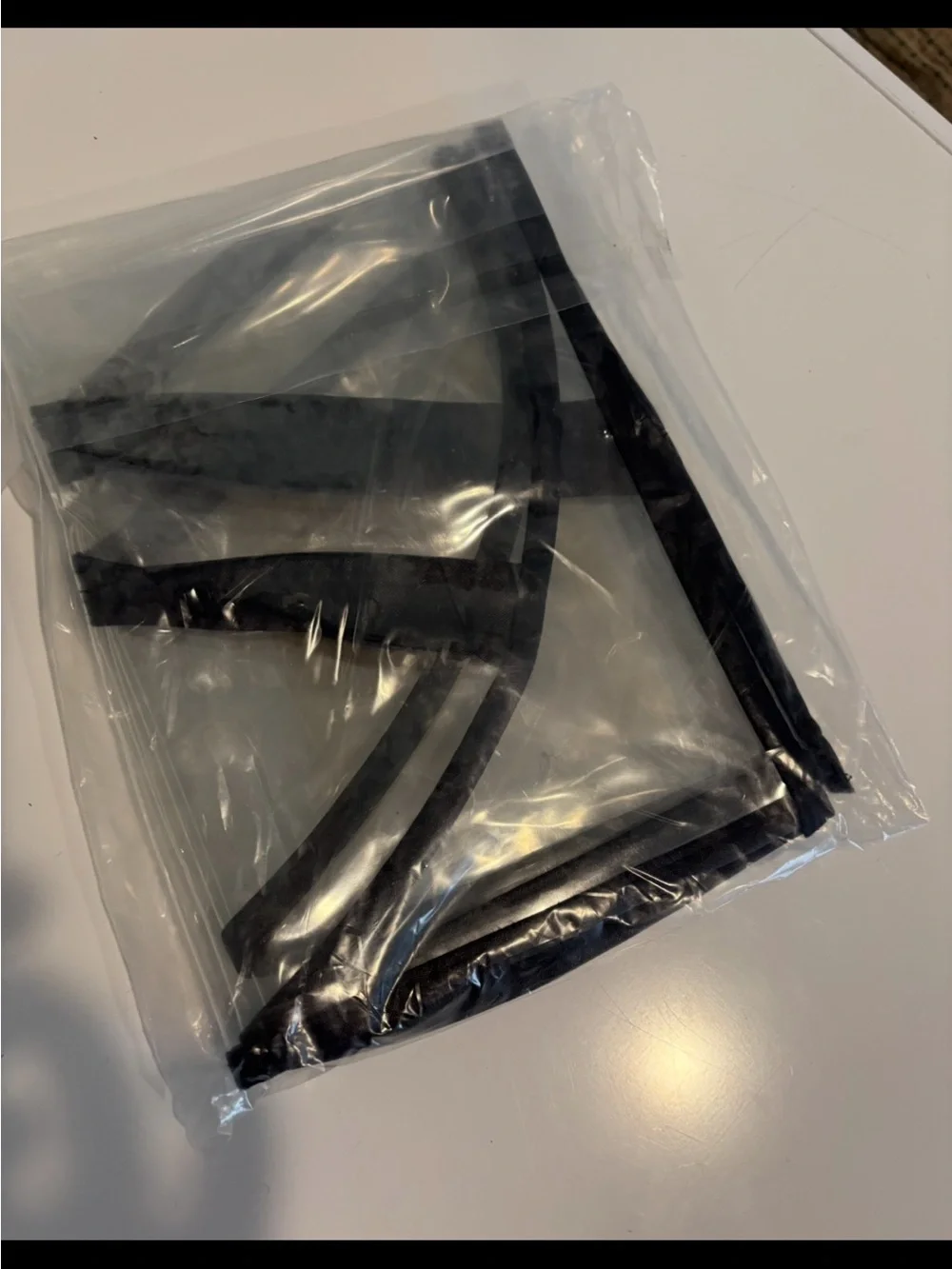 Clear Black-Trim Garment Bag